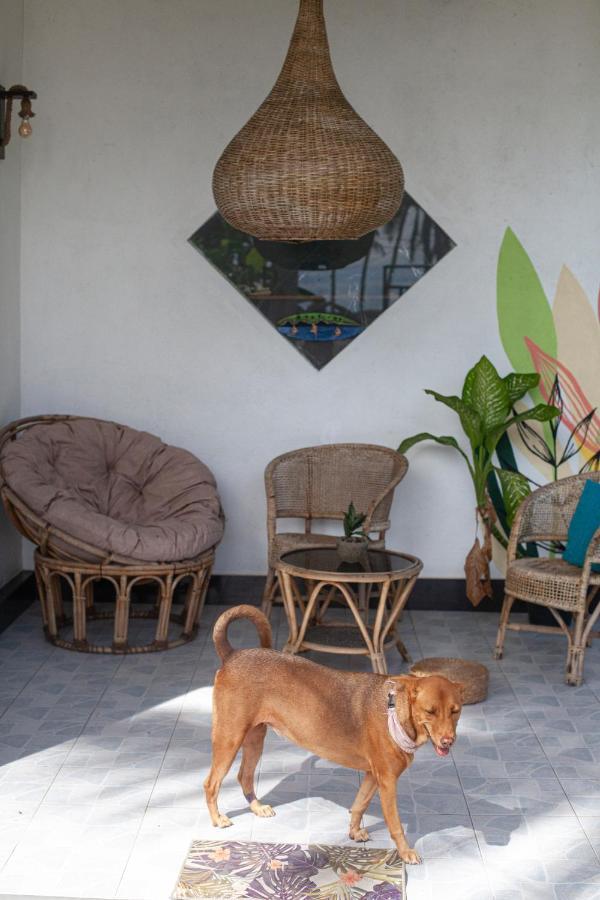 Marshmallow Homestay 아항가마 외부 사진